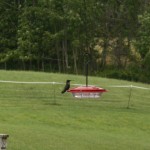 hummingbird on feeder