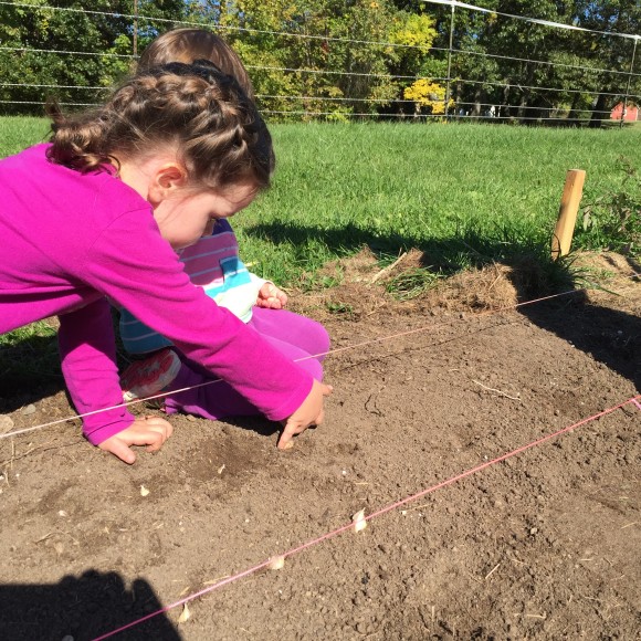 Teaching gardening